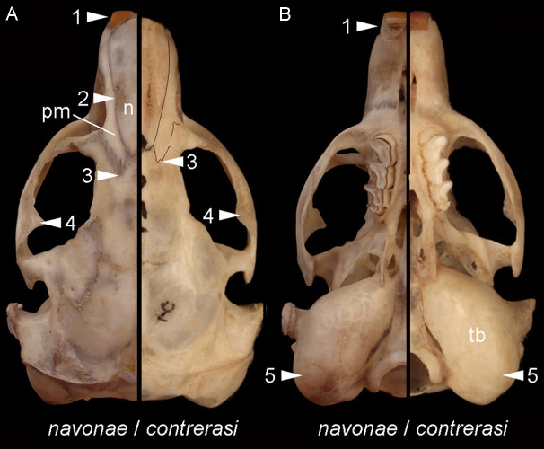 Figure 8
