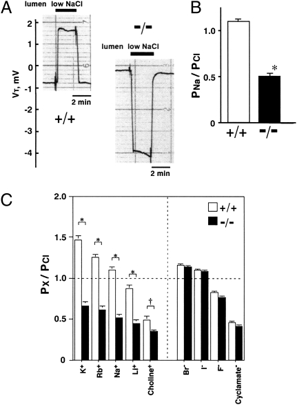 Fig. 5.