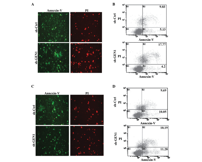 Figure 4.