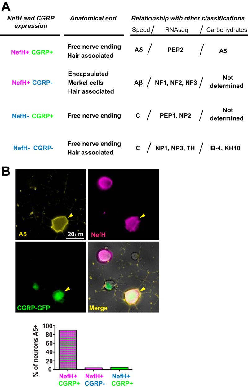 FIG 4