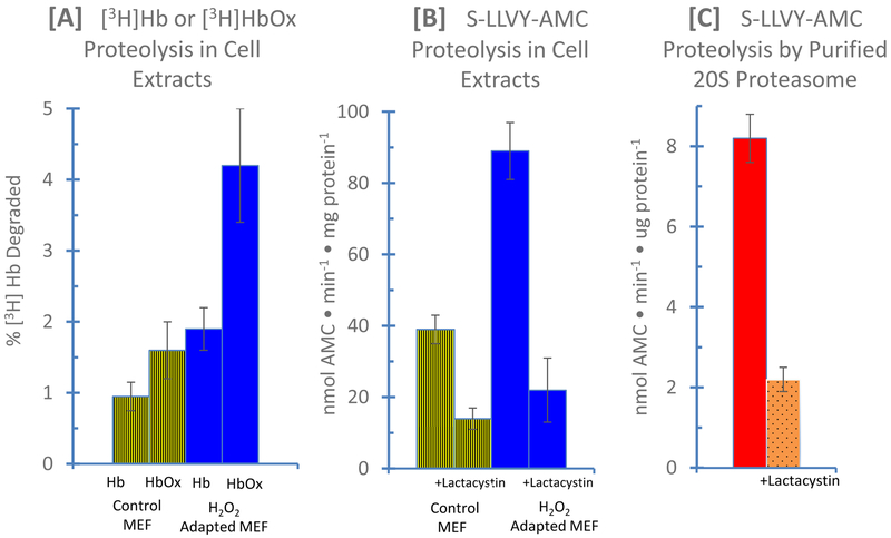 Figure 7: