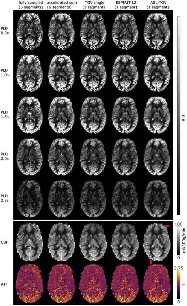 Fig. 10.