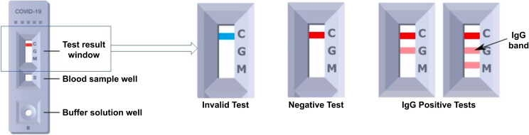 FIGURE 2—