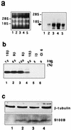 FIG. 5