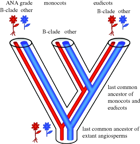 Figure 4.