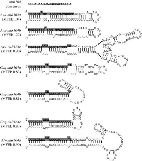 Figure 1.