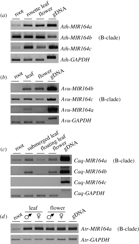 Figure 3.