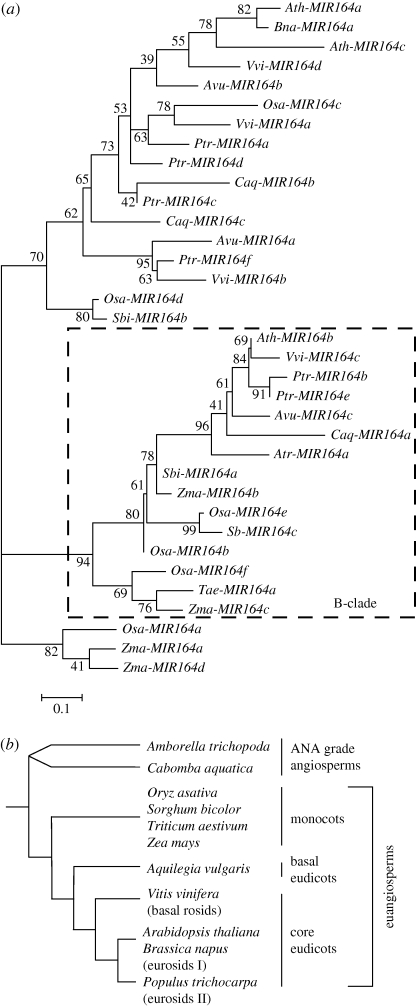 Figure 2.