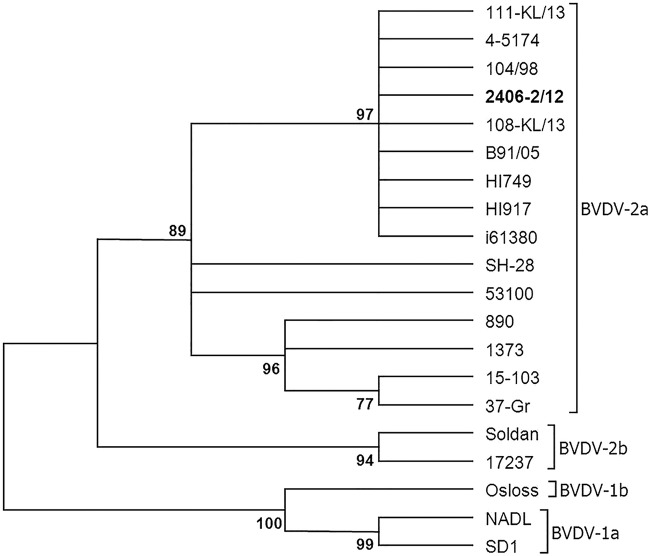 FIG 1: