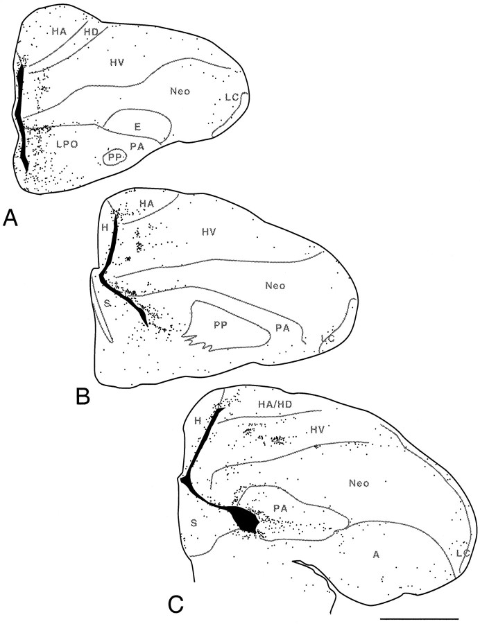 Fig. 7.