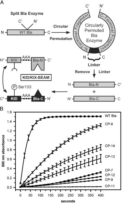 Fig 1.