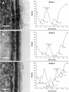 FIG. 8.