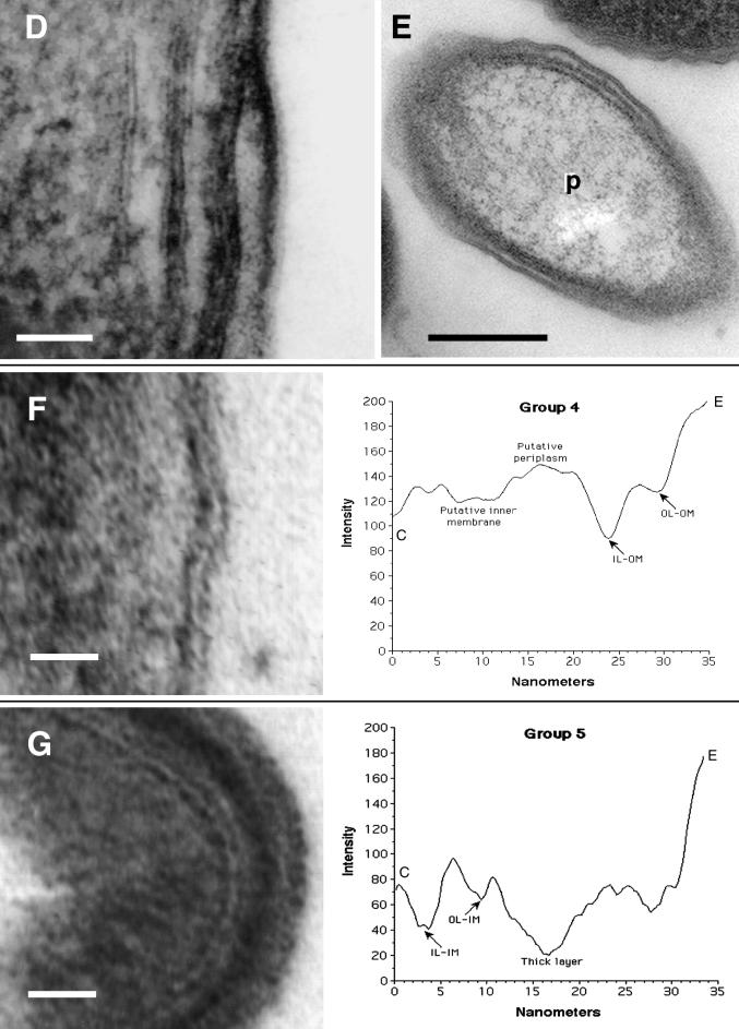 FIG. 8.