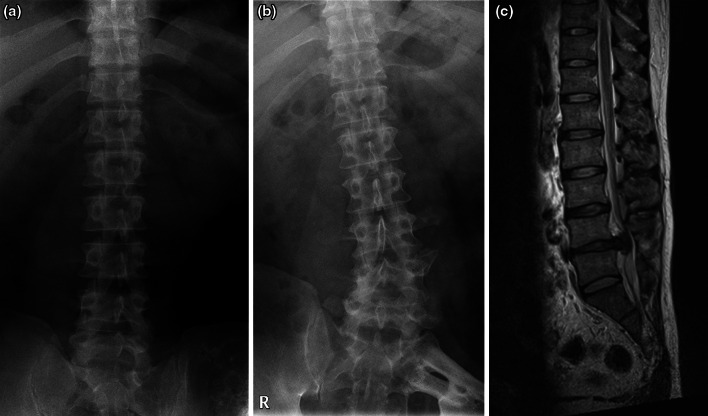 Fig. 3