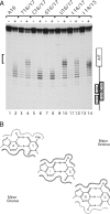 FIG. 5.