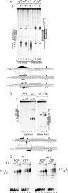 FIG. 2.