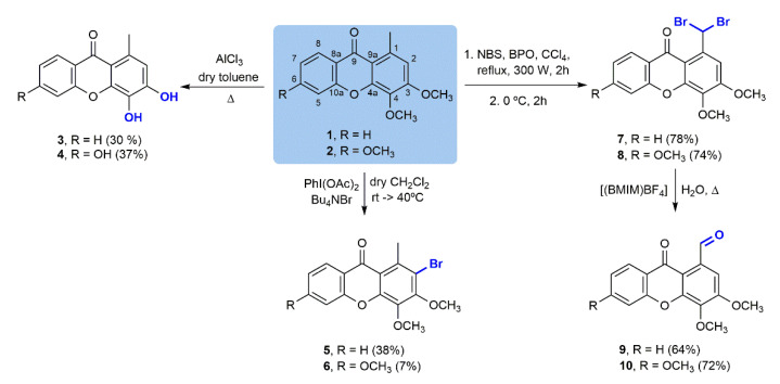 Scheme 1