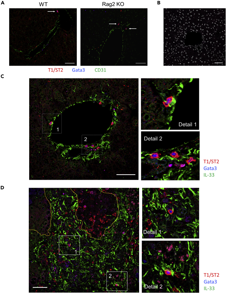 Figure 6