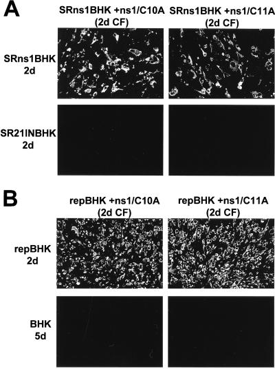 FIG. 6