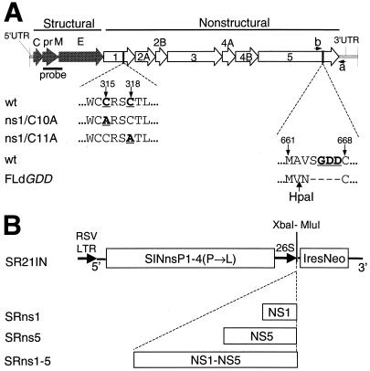 FIG. 1