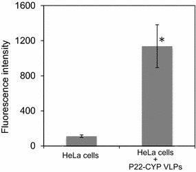 Fig. 4