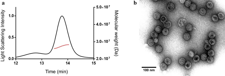 Fig. 1