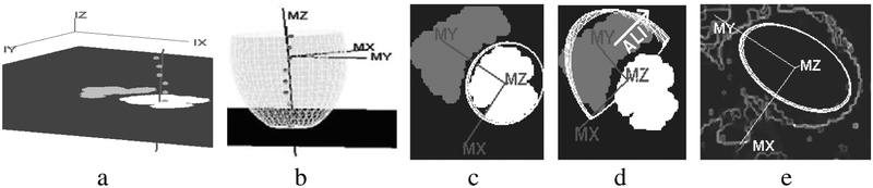 Fig. 4.