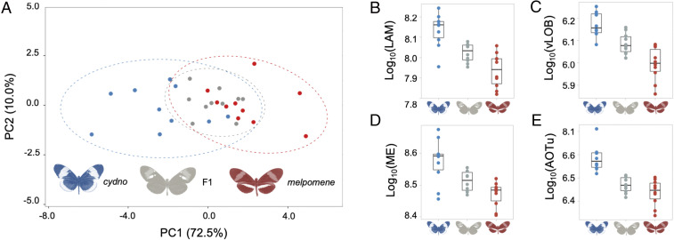 Fig. 3.