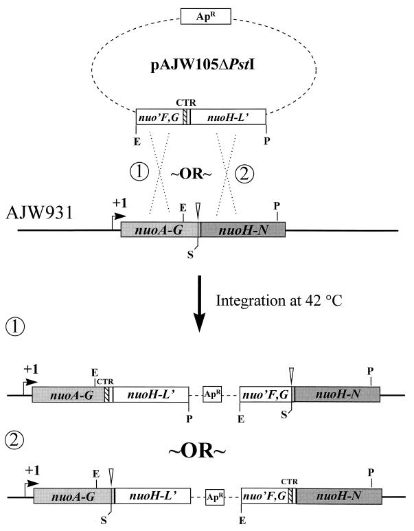 FIG. 3