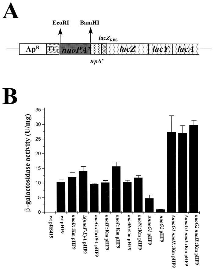 FIG. 6