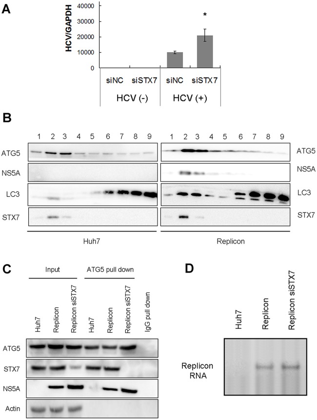 Fig 5