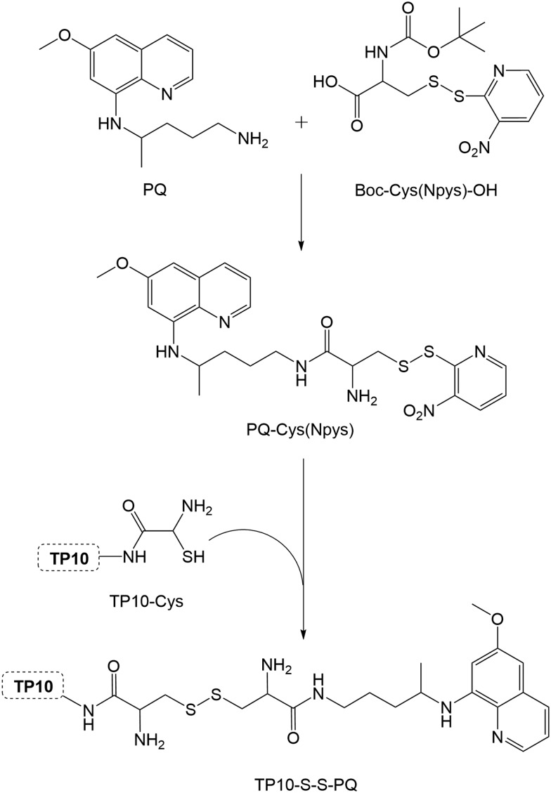 Scheme 2