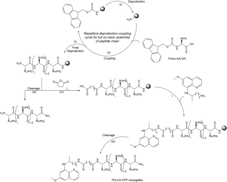 Scheme 1