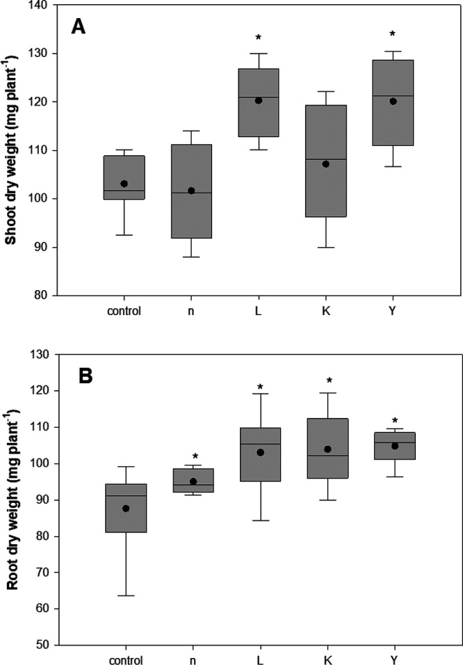 FIG 6