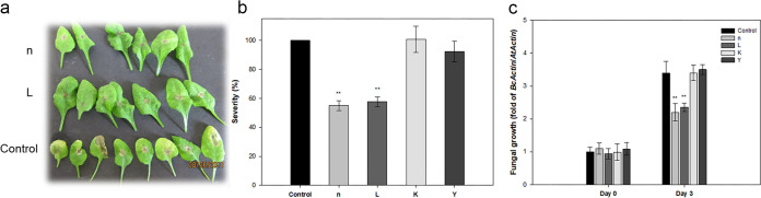 FIG 2