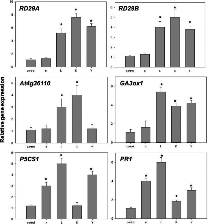 FIG 3