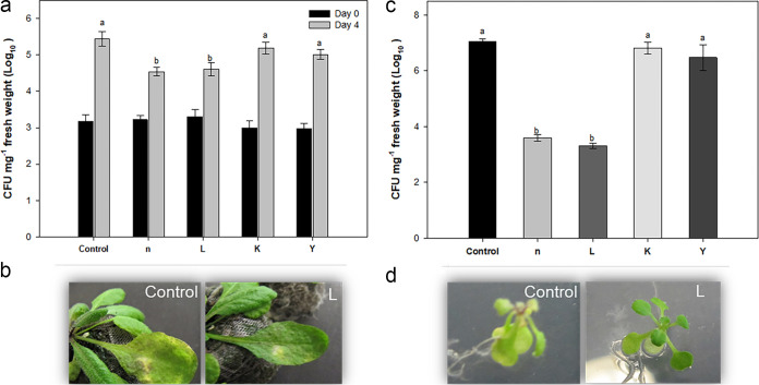 FIG 1