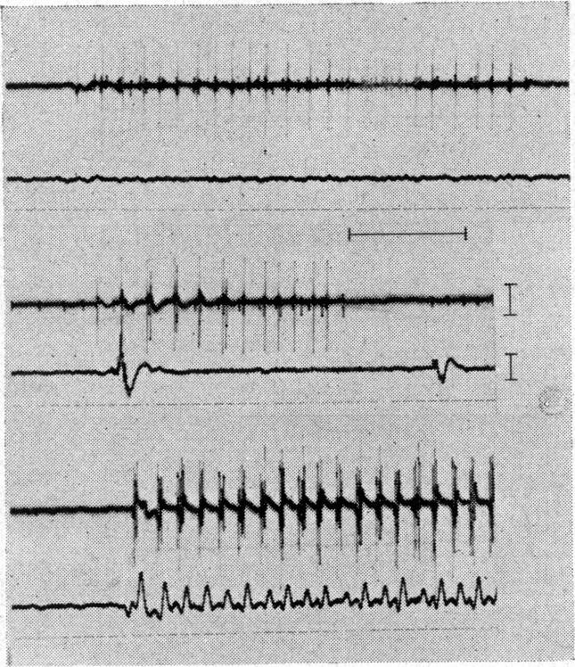 Fig 5