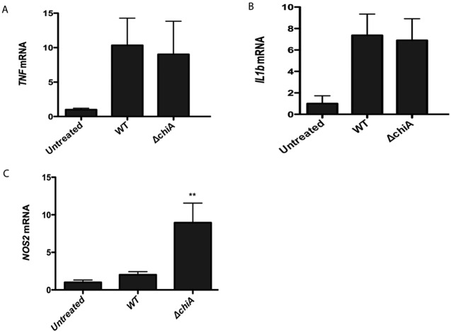 FIG 4 