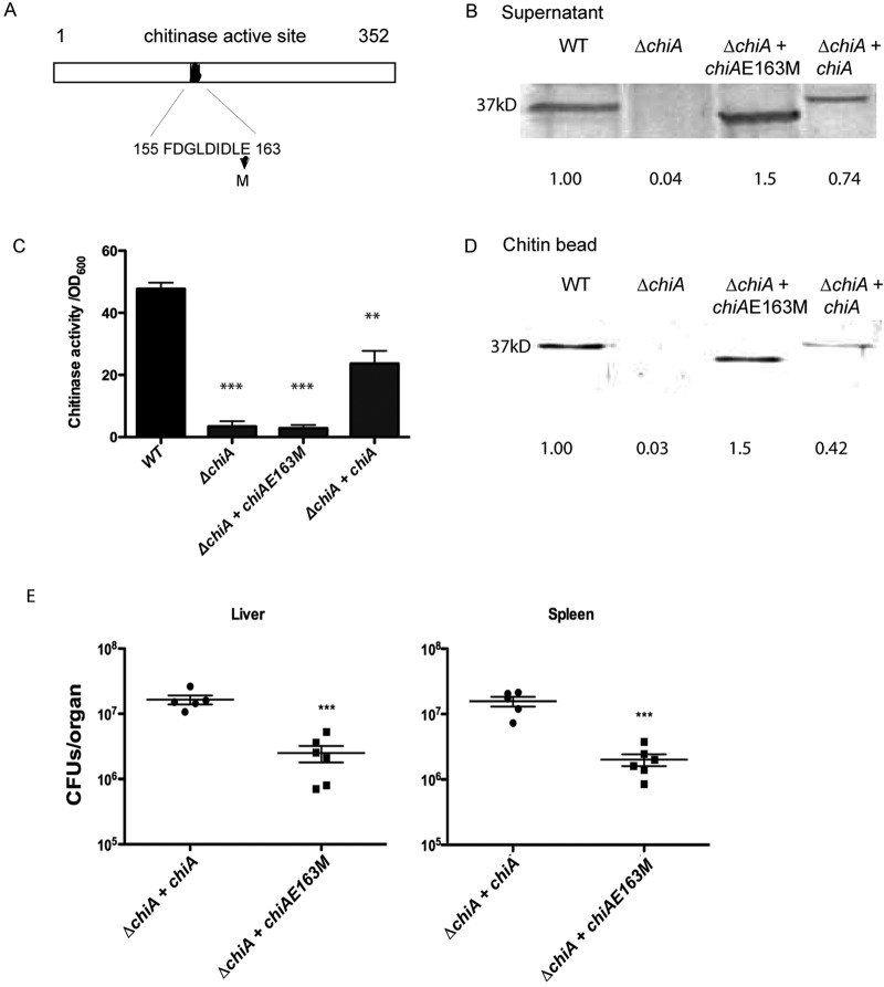 FIG 3 