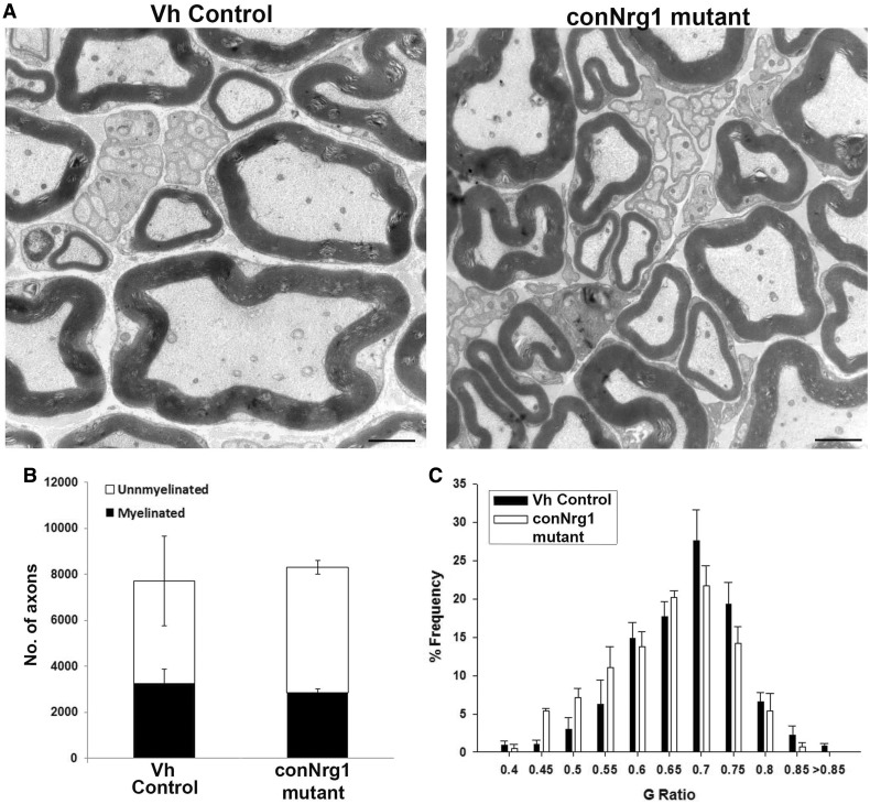 Figure
6