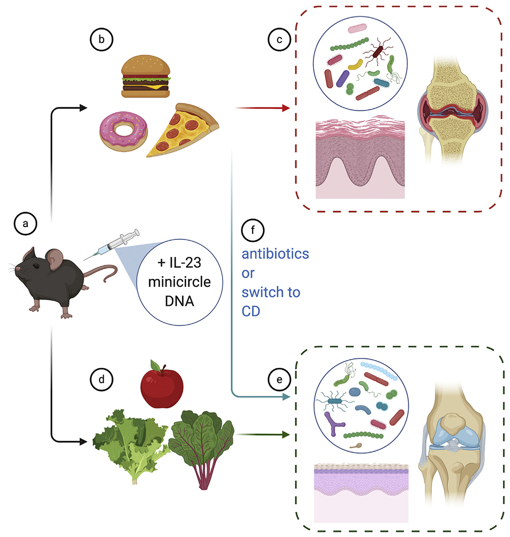 Figure 1.