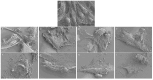 Figure 17