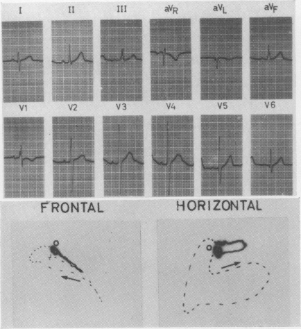 Fig. 9