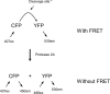 FIG. 1.