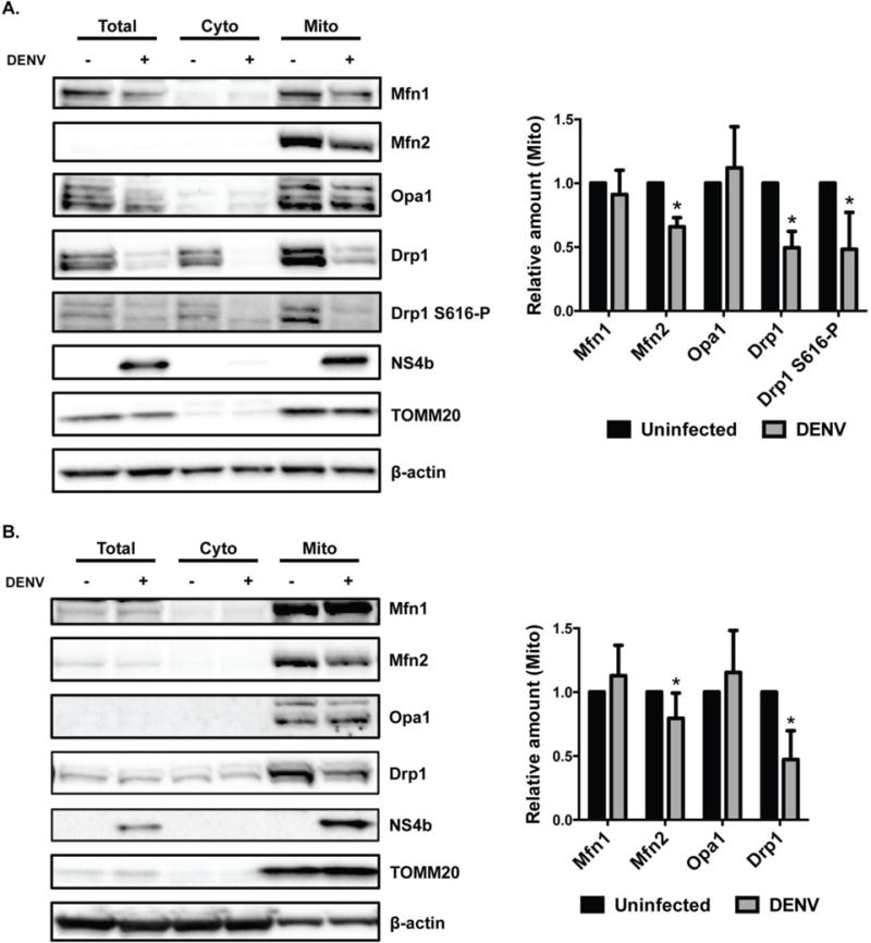 Fig. 4