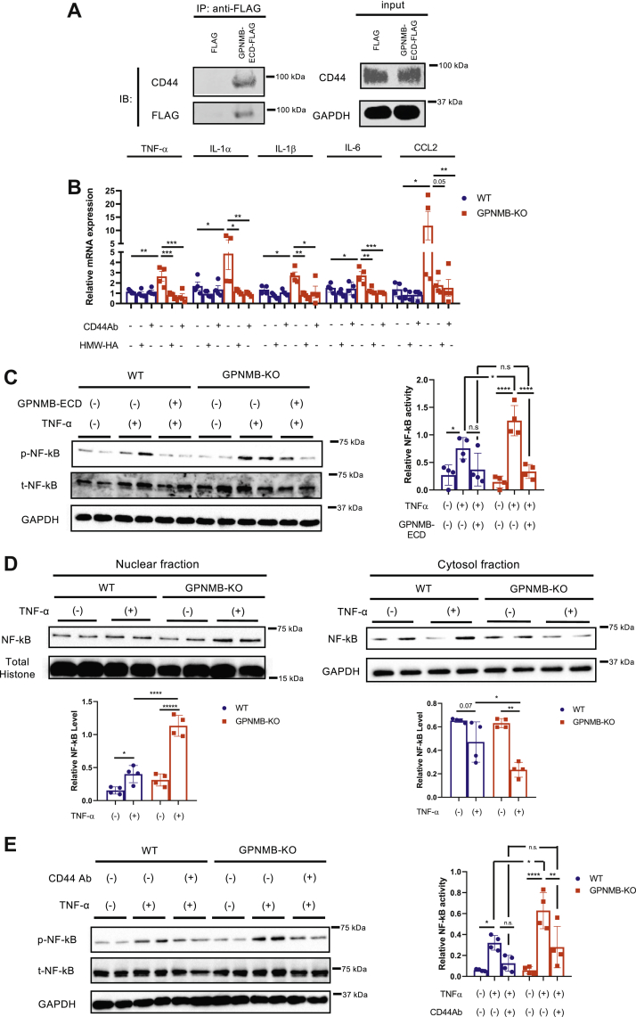 Figure 4