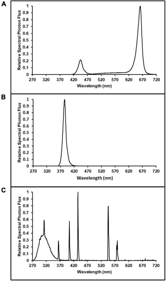 FIGURE 1