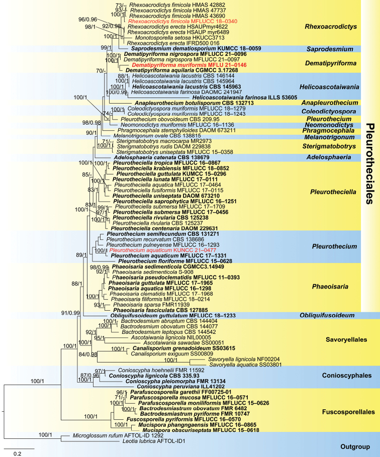 Figure 1.