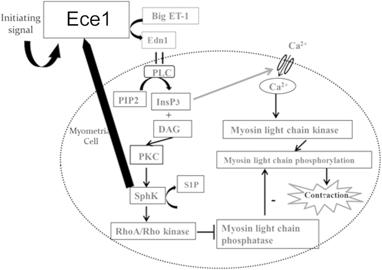 Figure 6